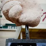 فندق Restaurant Vijlerhof