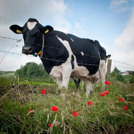 非勒尔豪夫酒店餐厅 维纶