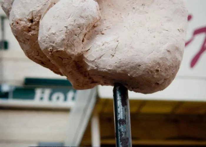 Hotel Restaurant Vijlerhof