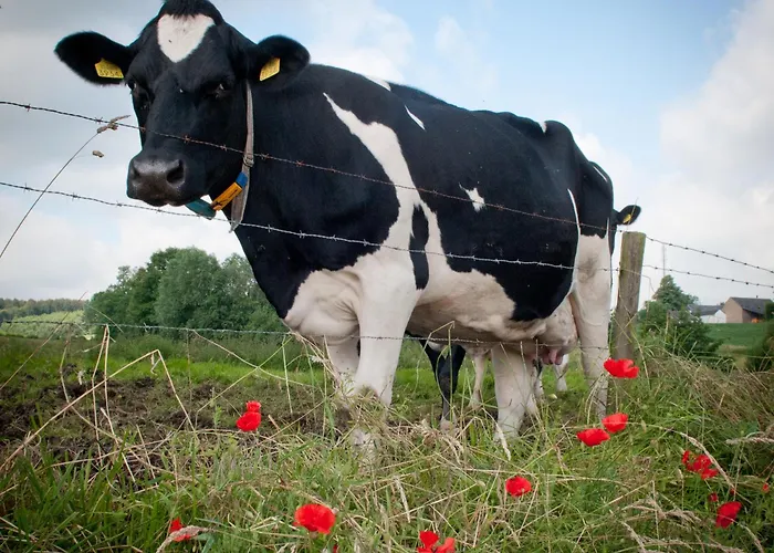 Restaurant Vijlerhof 빌렌